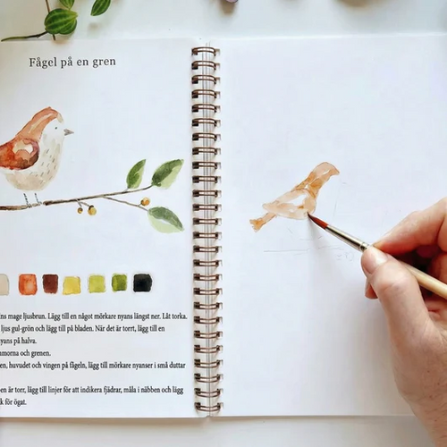 Komplet sæt til akvarelmaling